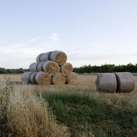 Agrimat Salento Sas Villa Alezio Luaran gambar