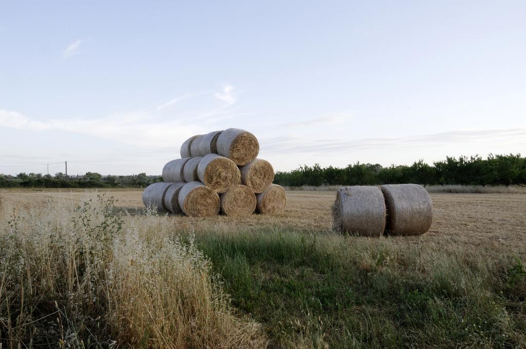 Agrimat Salento Sas Villa Alezio Luaran gambar