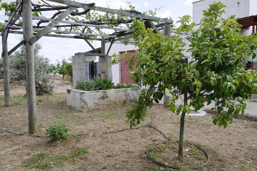 Agrimat Salento Sas Villa Alezio Luaran gambar