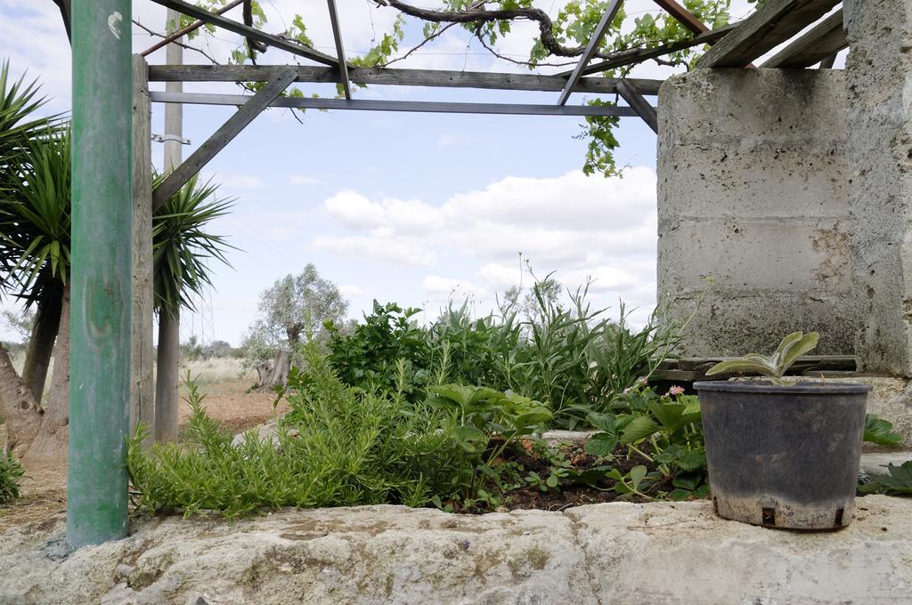 Agrimat Salento Sas Villa Alezio Luaran gambar